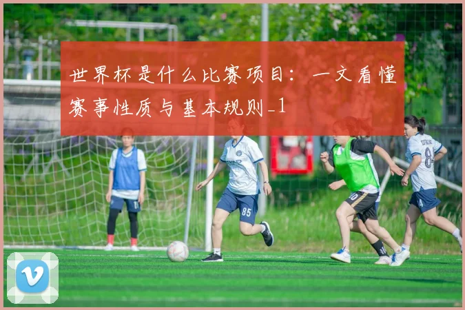 世界杯是什么比赛项目:一文看懂赛事性质与基本规则_1