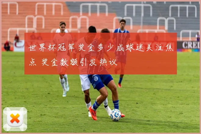 世界杯冠军奖金多少成球迷关注焦点 奖金数额引发热议