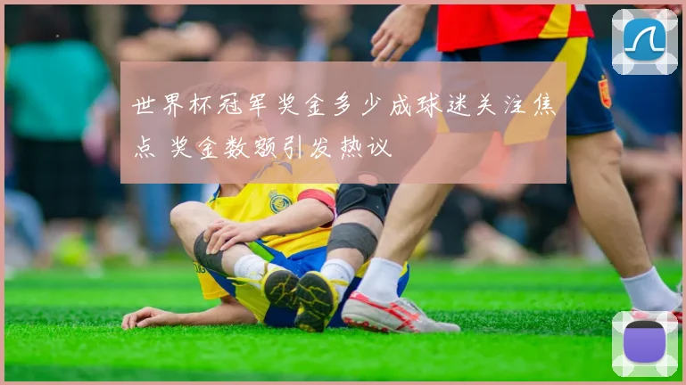 世界杯冠军奖金多少成球迷关注焦点 奖金数额引发热议