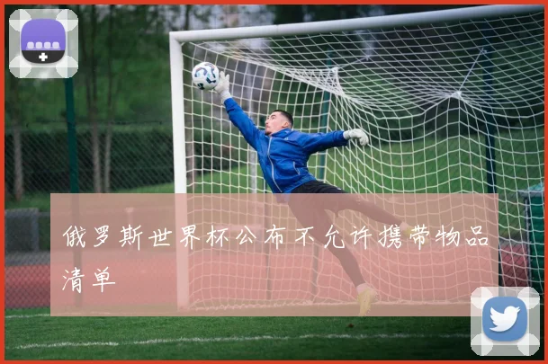 俄罗斯世界杯公布不允许携带物品清单